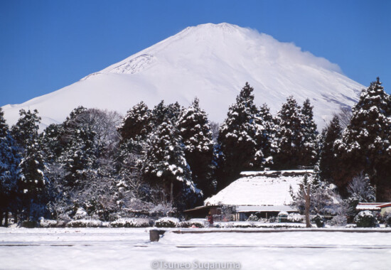 降雪の朝